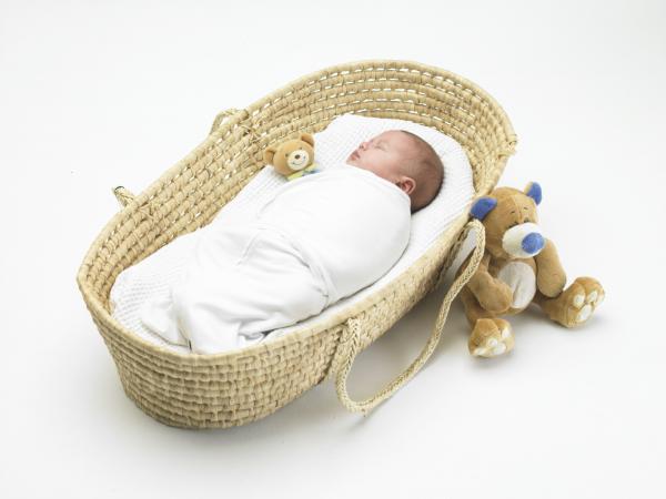 DreamSwaddle Green Large 6.5-10Kg